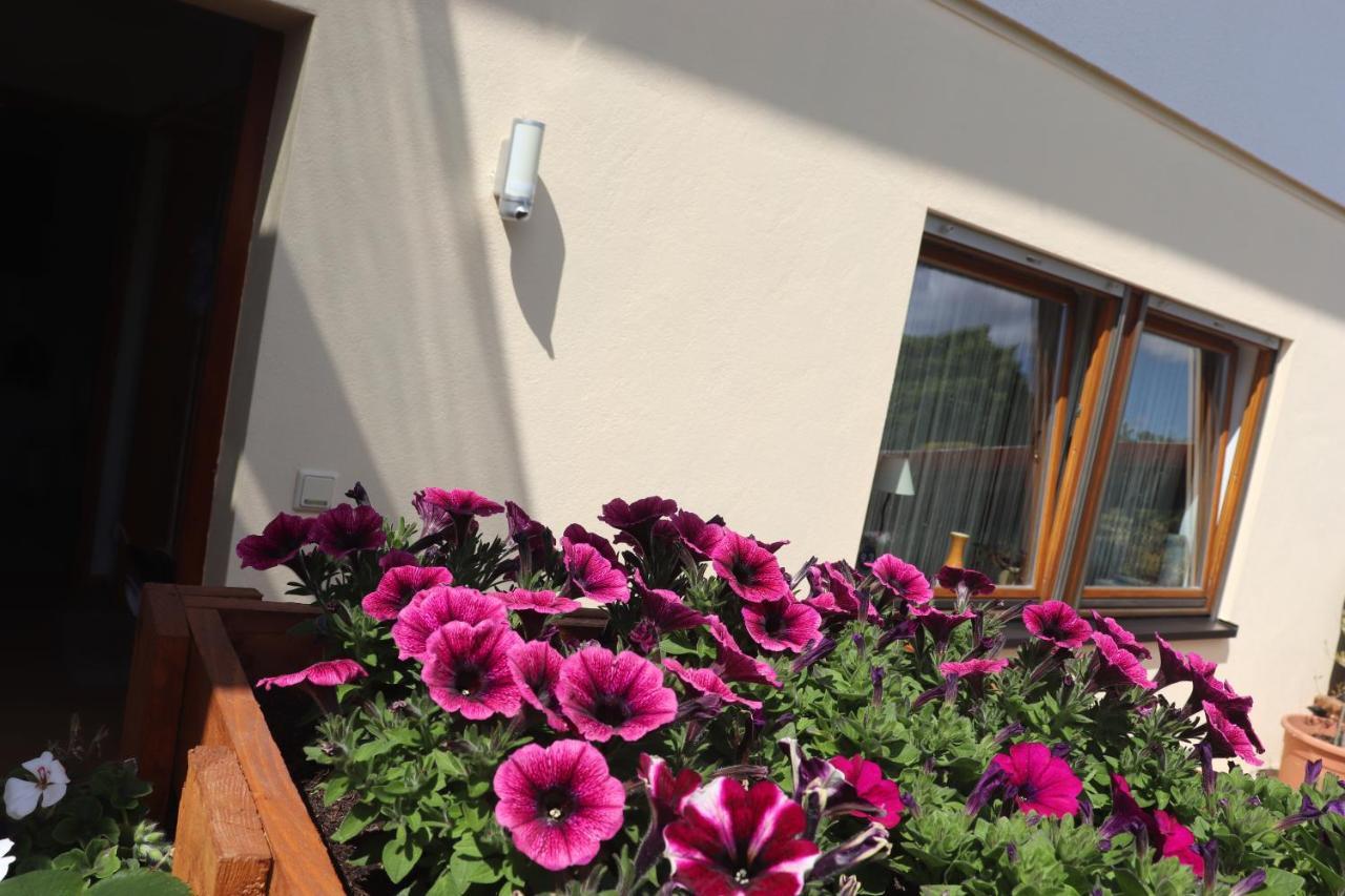 Ferienwohnung Pimer Ranschbach Bagian luar foto
