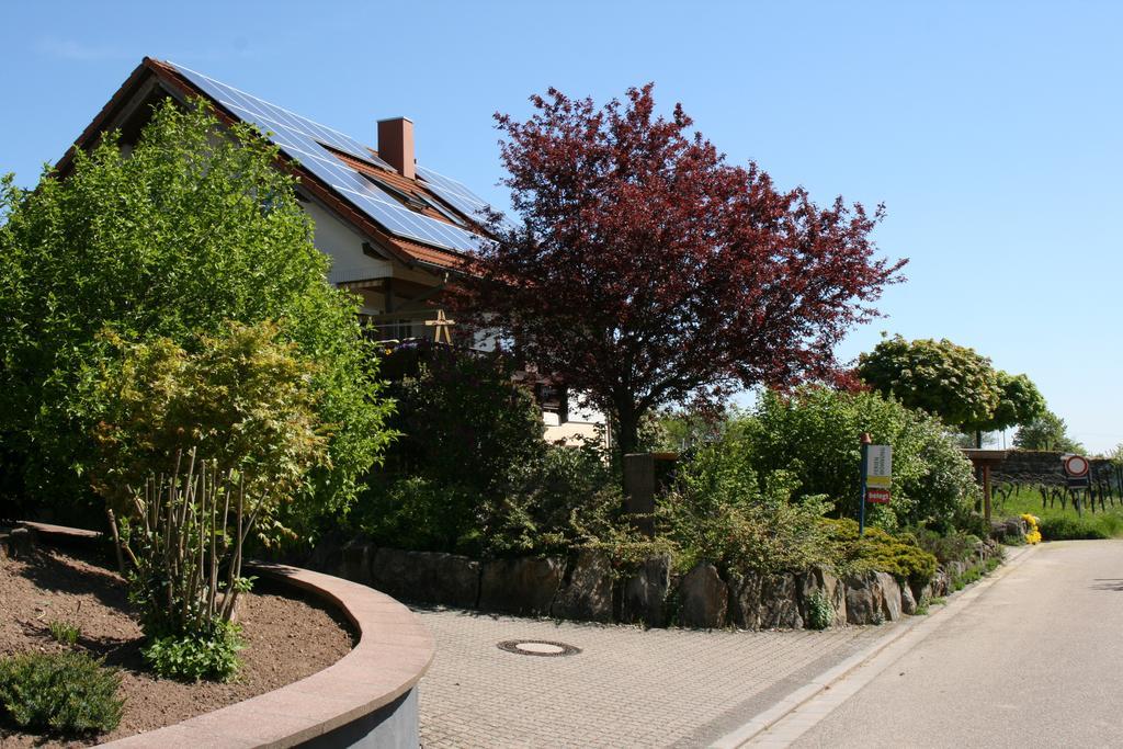 Ferienwohnung Pimer Ranschbach Bagian luar foto